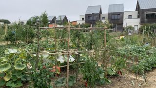 Le dernier baromètre sur les Français et leur jardin confirme plusieurs tendances : il est devenu une pièce à part entière de la maison. Il est apprécié et rarement jugé comme contraignant à entretenir. Il est entretenu avec de moins en moins de produits phytosanitaires. ©P.Fayolle